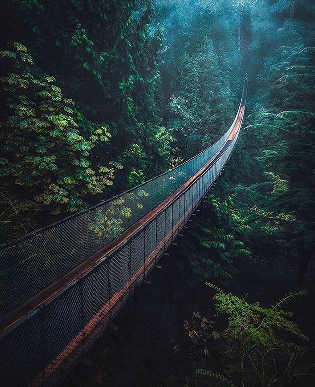 notmycapture's tweet photo. Imagine being the only one stood on this bridge. Into the unknown. Awesome pic by @kaiyhun .
#notmycapture #sharemycapture #featuredphotographer #awesome_photographers #collectivelycreate #iglobal_photographers #icatching #ig_exquisite #ig_great_pics #ig… https://t.co/o3zqam7GdP https://t.co/l6gAagAzab