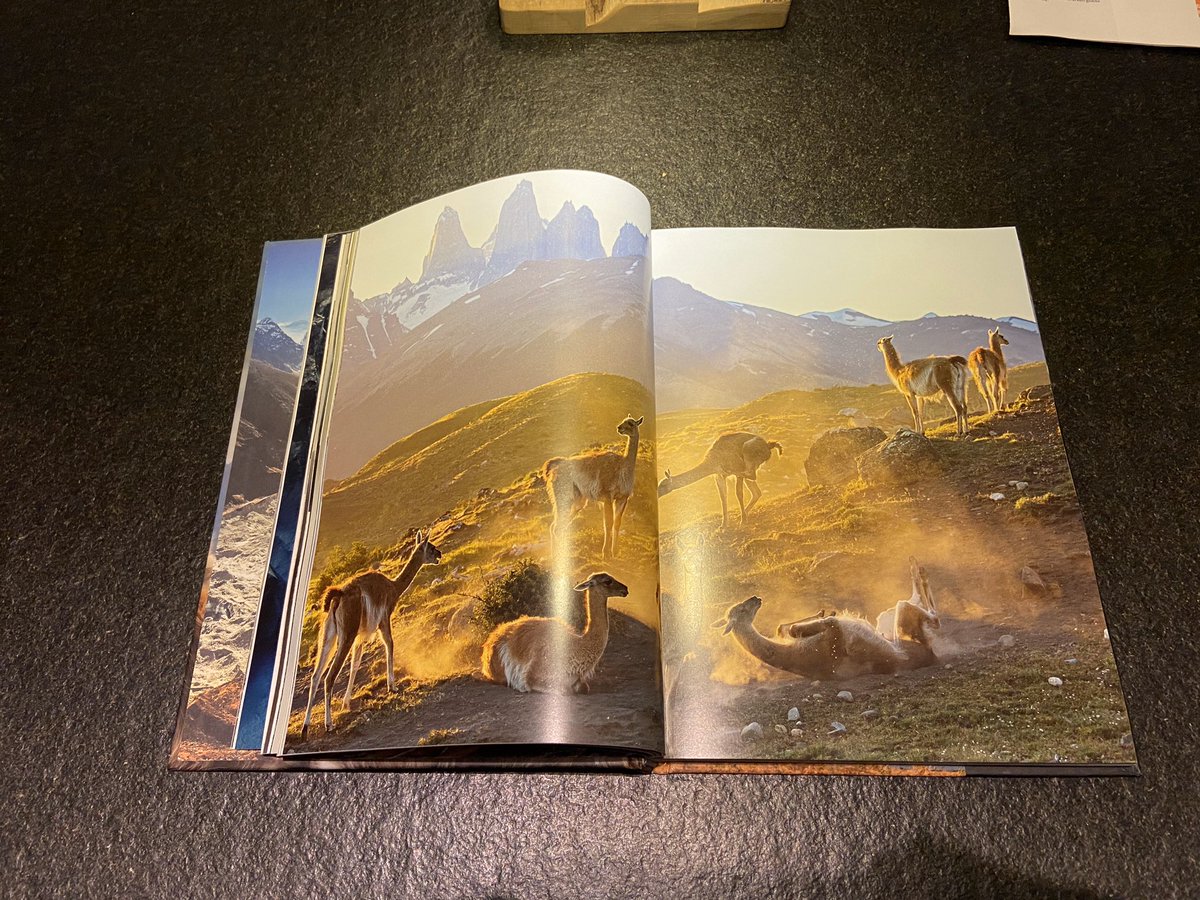 bogaert_r's tweet photo. A new book to soothe my curiosity. #SevenWorldsOnePlanet https://t.co/ZtR2VN1PnV