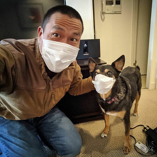 abbiesurfs's tweet photo. Dad is an idiot. 😷🤣🐶🇯🇵 #localfashion #feelingJapanese #readyforsurgery #dadisanidiot https://t.co/Lv51vDP6RH https://t.co/Mr0h2iFzrB
