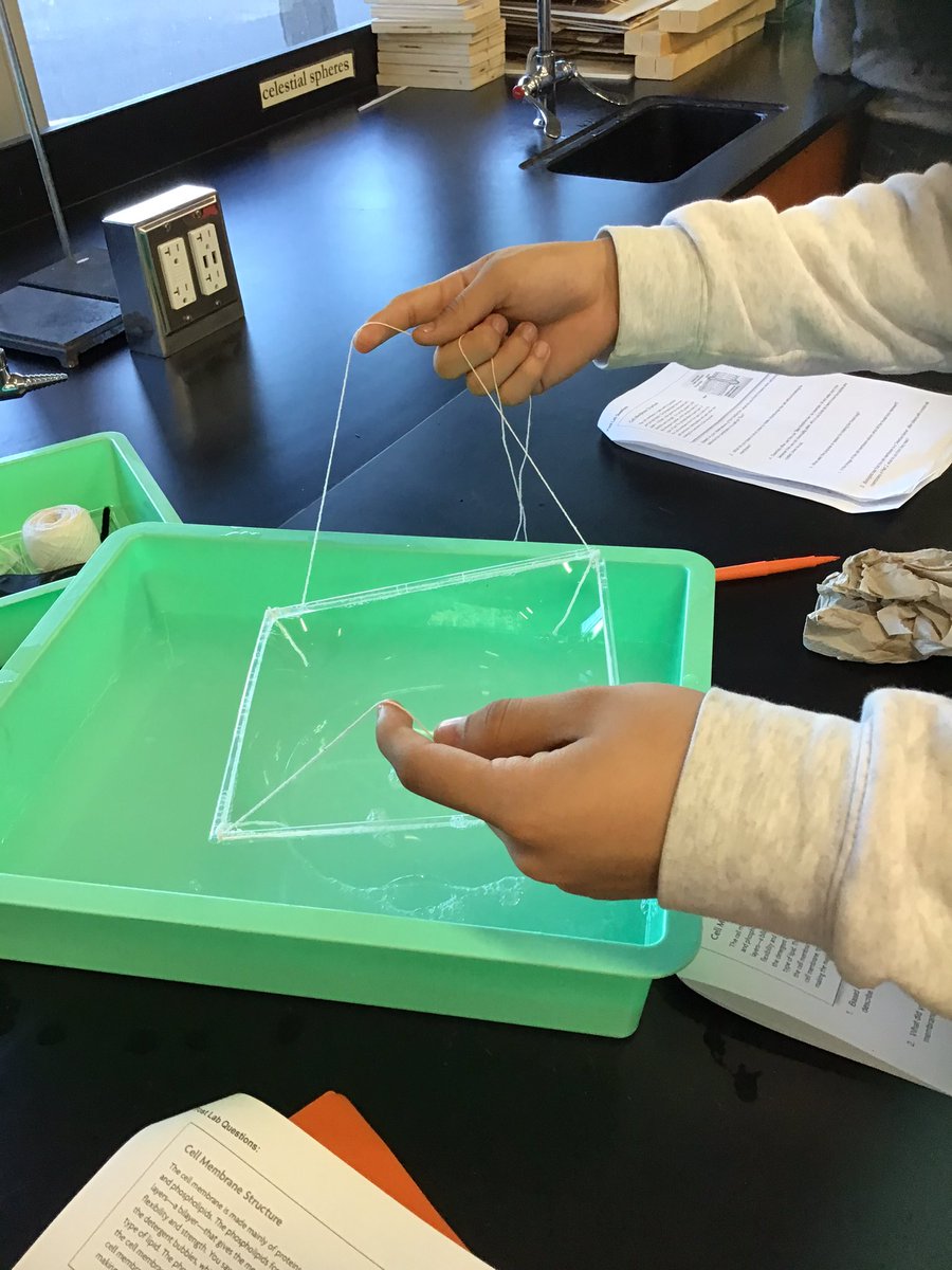 GE_Science's tweet photo. #SEPUP #LabAids bubbles as membranes lab was a great way to illustrate membranes and permeability https://t.co/k146xiPfdp