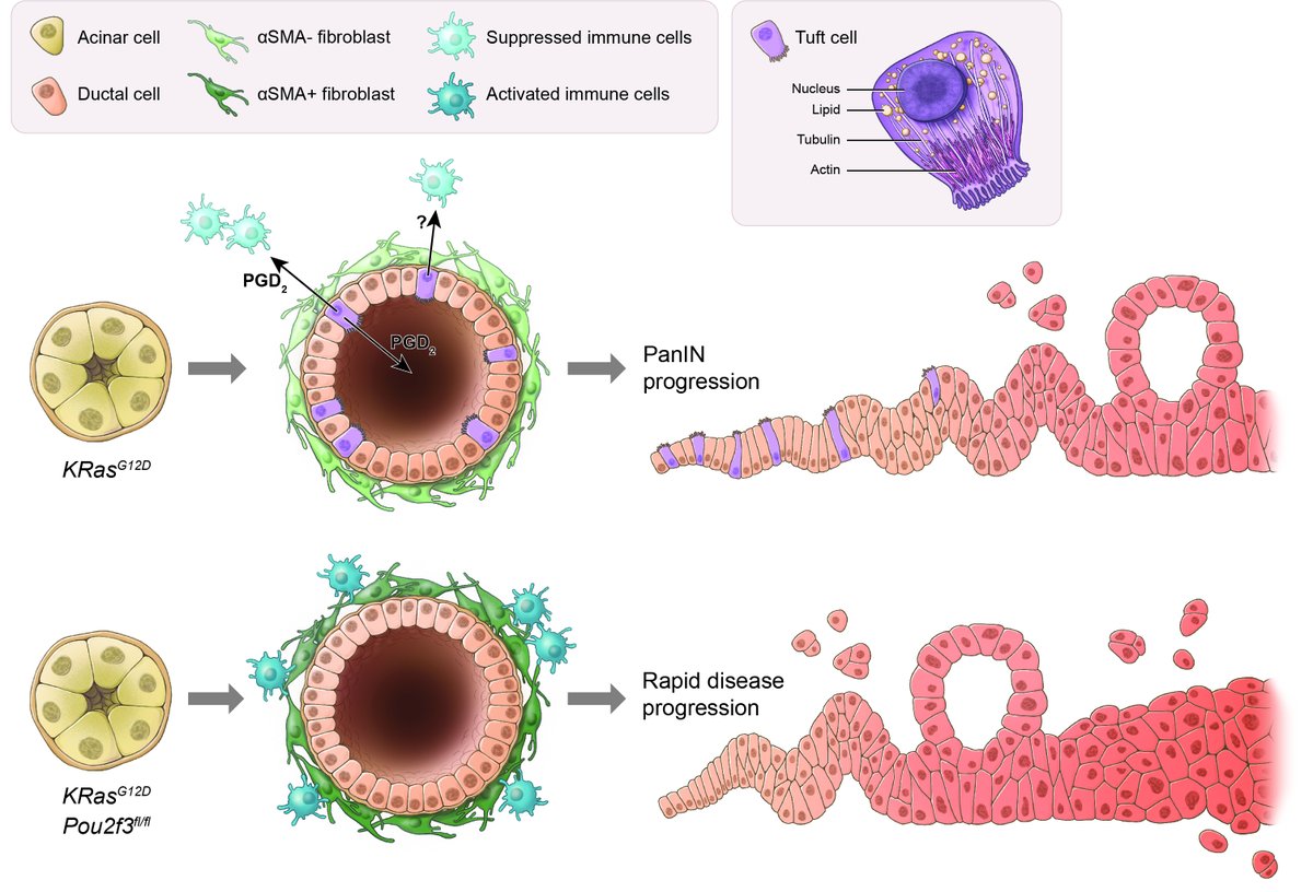 Geoff Wahl Lab tweet media
