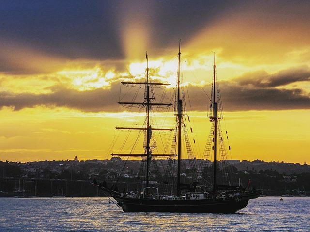Aucklife's tweet photo. Sommer sunsets in Auckland are great and even better when enjoyed on a boat while cruising through Auckland harbour. ·
#aucklife #auckland #aucklandlife #lifeinauckland #livinginauckland #visitauckland #aucklandnz #ourakl #tourism_nz #aklcouncil #akl #newzealand #nz #aucklan… https://t.co/uVyZHOVHKS