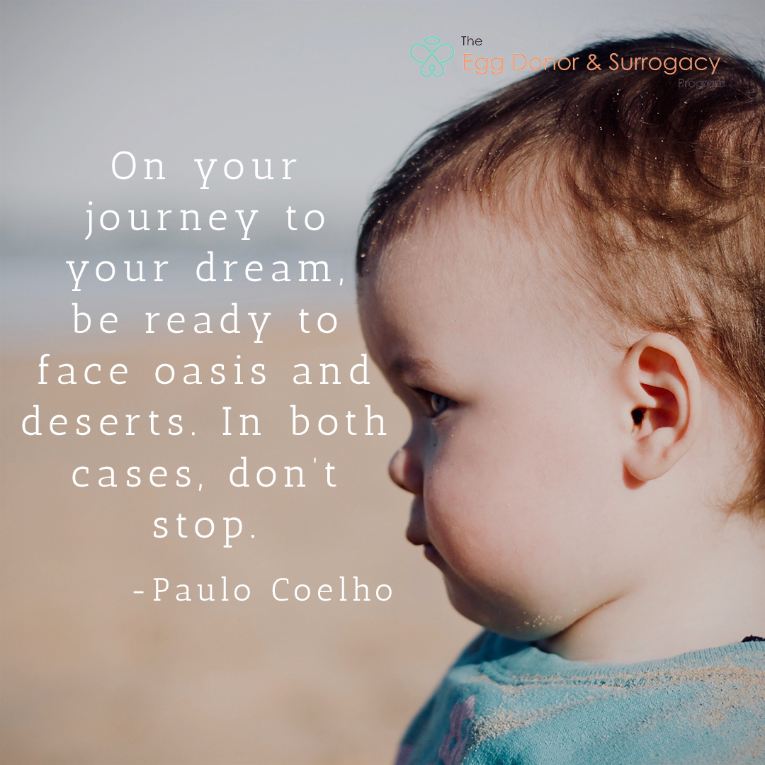 hatchfertility's tweet photo. 'On your journey to your dream, be ready to face oasis and deserts. In both cases, don't stop' - Paulo Coelho
#eggdonation #surrogacy #Eggdonorprogram #surrogacyprogram #journey #motivation #love #ivf https://t.co/2Y7jnJ4Ct9