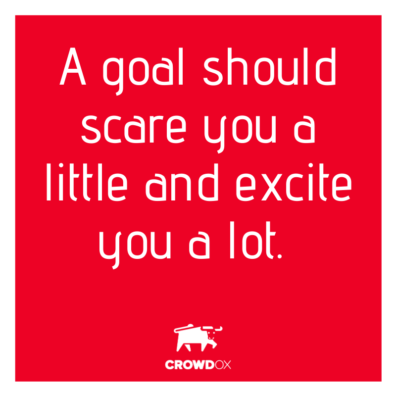 crowdoxapp's tweet photo. A goal should scare you a little and excite you a lot. #crowdox #crowdfunding #goalsetting #motivation https://t.co/TrZcTURita