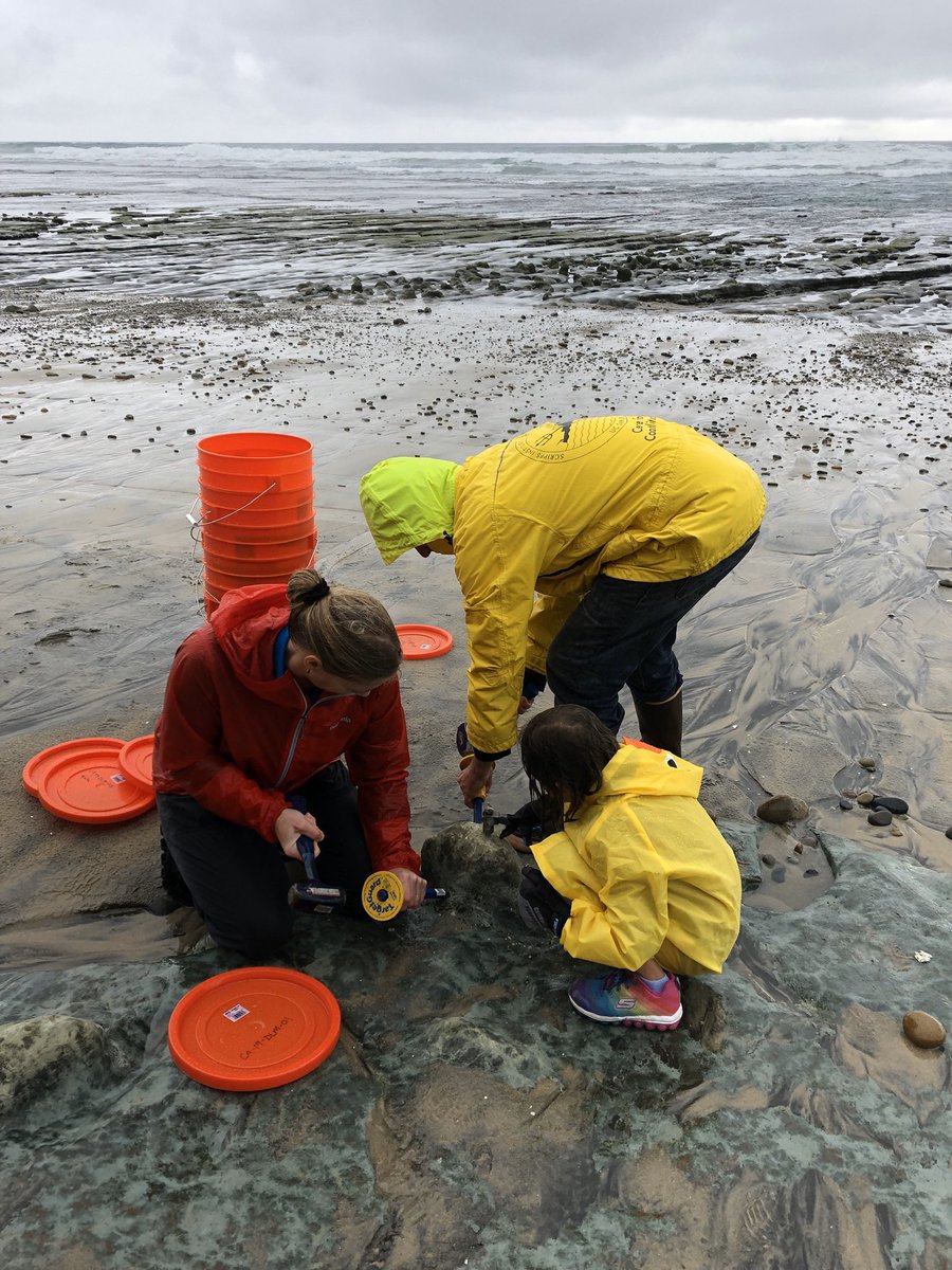 jkwillenbring's tweet photo. Not even close for this #BSGLOL competition. Iโm #TeamPlatform all the way! #TeamworkMakesTheDreamWork shots below sampling around Del Mar w/my @Scripps_Ocean PhD students (left) and my daughter (small person on right). https://t.co/YVSh25yGQs