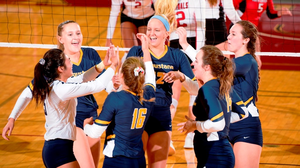 Augustana Vikings (@augieathletics) on Twitter photo Augie WVB season in review 2019 <a href="/Augustana_IL/">Augustana College</a> <a href="/CCIW_Athletics/">CCIW</a> <a href="/AugieVball/">Augustana Volleyball</a> <a href="/TJ_DA/">Tom Johnston</a> <a href="/mattcoss78/">Matt Coss</a> <a href="/sbatt79/">Steve Batterson</a> @jaydub_DA <a href="/DanPearson5/">Dan Pearson</a> <a href="/jaykidwellwhbf/">Jay Kidwell</a> <a href="/DustinLNolan/">Dustin Nolan</a> <a href="/MattRandazzo/">Matt Randazzo</a> <a href="/kuff_sports/">Kory Kuffler</a> <a href="/JoeyDonia/">Joey Donia - KWQC</a> @Skubie3Mageza athletics.augustana.edu/news/2020/1/14… Augie WVB season in review 2019 <a href="/Augustana_IL/">Augustana College</a> <a href="/CCIW_Athletics/">CCIW</a> <a href="/AugieVball/">Augustana Volleyball</a> <a href="/TJ_DA/">Tom Johnston</a> <a href="/mattcoss78/">Matt Coss</a> <a href="/sbatt79/">Steve Batterson</a> @jaydub_DA <a href="/DanPearson5/">Dan Pearson</a> <a href="/jaykidwellwhbf/">Jay Kidwell</a> <a href="/DustinLNolan/">Dustin Nolan</a> <a href="/MattRandazzo/">Matt Randazzo</a> <a href="/kuff_sports/">Kory Kuffler</a> <a href="/JoeyDonia/">Joey Donia - KWQC</a> @Skubie3Mageza athletics.augustana.edu/news/2020/1/14…