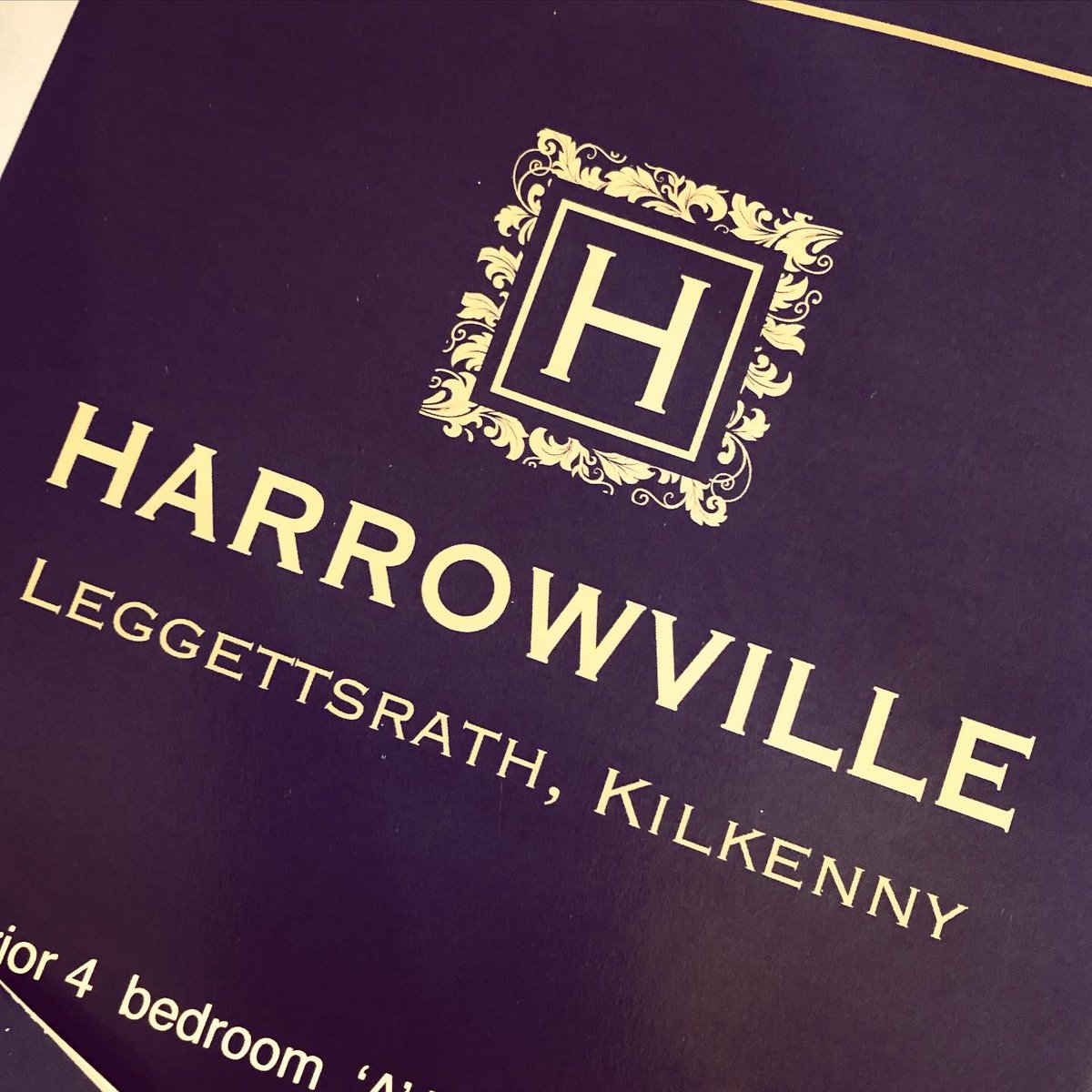 fleurcreative's tweet photo. Got to work with one of the best in the business Sherry FitzGerald McCreery on their new development Harrowville really enjoyed working on the logo, hoarding and brochure for this stunning development .... I’m in no doubt these beautiful homes will be snapped up very quickly https://t.co/Fn37KUhH7A