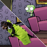 NickRewind's tweet photo. A dog dressed like Gir, dressed like a dog! #DressUpYourPetDay https://t.co/I3IF1aUbmf
