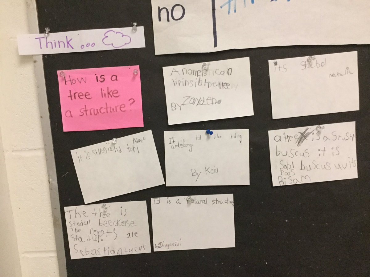 Room 105 tweet media