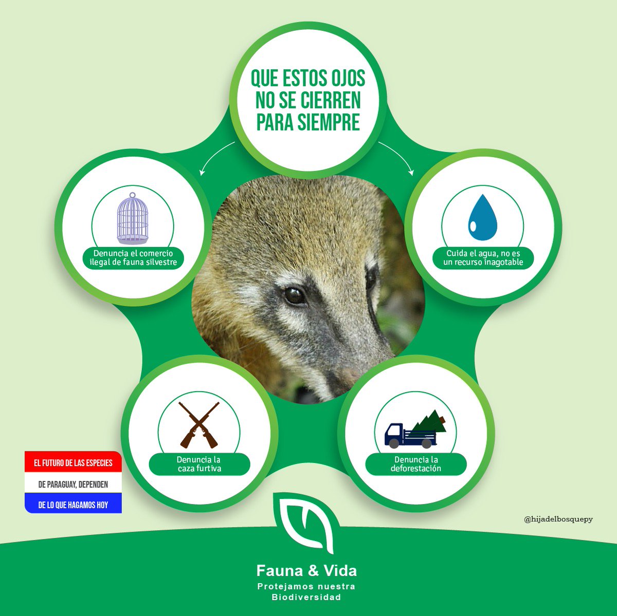 FaunaVida's tweet photo. Con la ayuda de todos, podremos combatir la cacería y el tráfico ilegal de estas especies. Todos somos parte.
Haz tus denuncias en la web:https://t.co/pGXbElu42V
o vía whatsapp: 0985 454 555
ph.: @hijadelbosquepy
#fauna #silvestre #biodiversidad #faunayvida https://t.co/spEddDzZOW