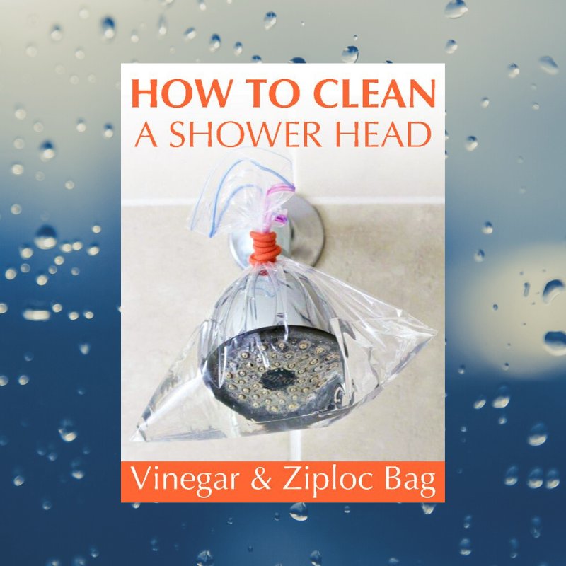 Brought to you by your friends at Servpro of Coffee/Franklin/Warren Counties. Give us a call to assist you in anyway. 931-723-8088. 
#ServproofCFW #tipTuesday #DarnShowerHead