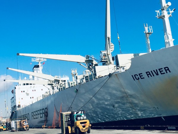 FreshPlaza_com's tweet photo. First shipment of Chilean fruit of the season arrives on US West Coast @FruitsfromChile
https://t.co/0Ghb5NGnXG https://t.co/8sURdr6U5T