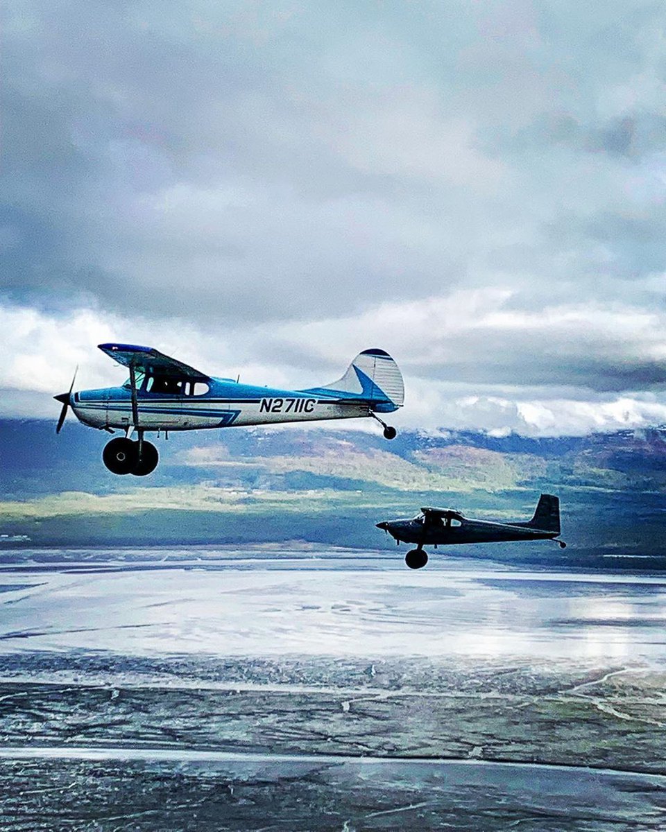fly8ma's tweet photo. The coolest impromptu formation flight ever!! #170mafia .
.
.
.
.
#skywagon #flightoffour #formationflight #aviationlife #pilotlife #piloto #cessna170 #tailwheel #aviationdaily #c170 #aviation #airplanelove #planespotting #knik #flyoutalaska #alaska https://t.co/fzwA8QpPU9