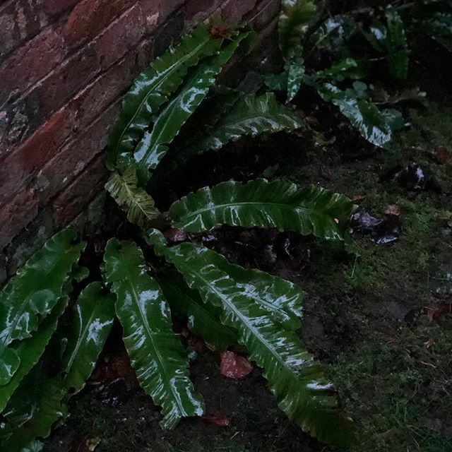 WinchesterWOW tweet media