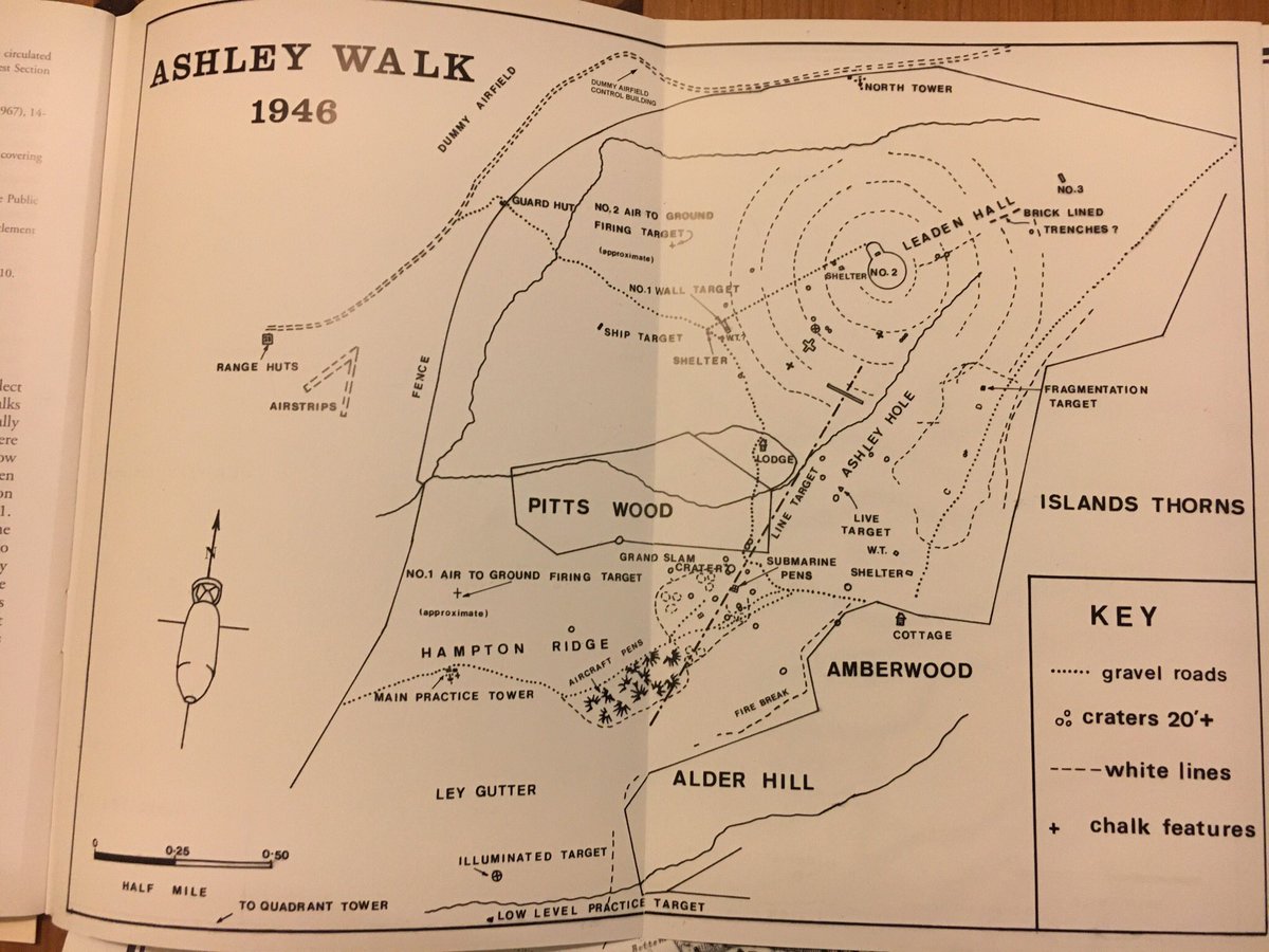 Homeseptic tweet media