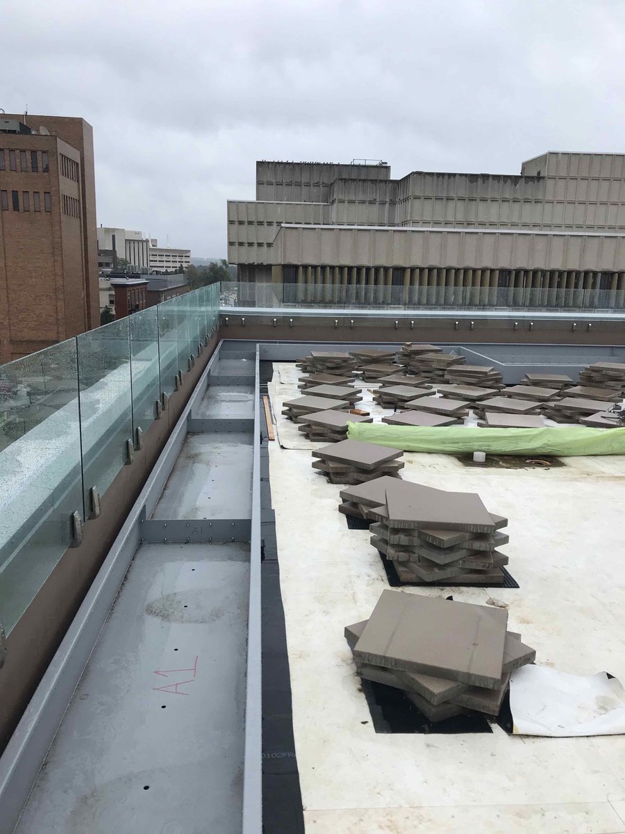 AVB_inc's tweet photo. The green roofs at 400 Rose Apartments are really starting to come alive 🌱😂  #avbconstruction w/ Hinman Company

PS: 400 Rose is Now Leasing residences for March 2020! Schedule your exclusive tour today by visiting https://t.co/rg1RL2hGBk #LiveSocial #Live400ROSE https://t.co/Hpr8rzKUOb