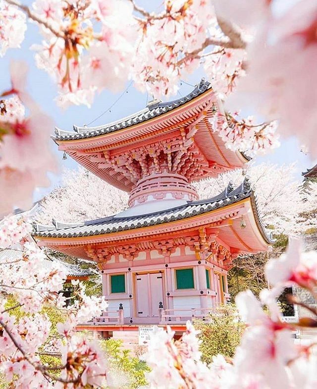 notmycapture's tweet photo. Have you ever seen anything this beautiful before? I sure haven’t, awesome capture @loic.lagarde
.
#notmycapture #sharemycapture #featuredphotographer #awesome_photographers #collectivelycreate #iglobal_photographers #icatching #ig_exquisite #ig_great_pi… https://t.co/qEqOwOeNKD https://t.co/v5pFhlrwj3