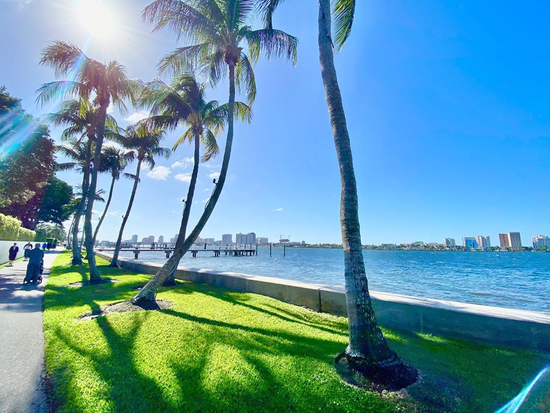 PalmBeachesFL's tweet photo. A walker, jogger or biker's paradise - there's no place like the Palm Beach Lake Trail! The trail runs alongside the western edge of Palm Beach, with a dramatic view of the Lake Worth Lagoon and West Palm Beach beyond. 
📷: westpalmbeachflorida on IG https://t.co/FLrbnGB0Dl