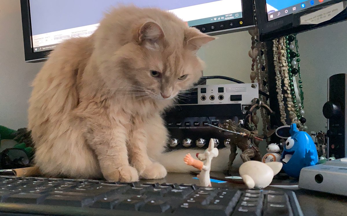 TempResidents's tweet image. This really makes Walter feel good about himself. Poor Pinky is about to die. 

#2travelcats #worlddomination #megalomaniac #savepinky #CatsOnTwitter #TempResidents #temporaryresidentsblog