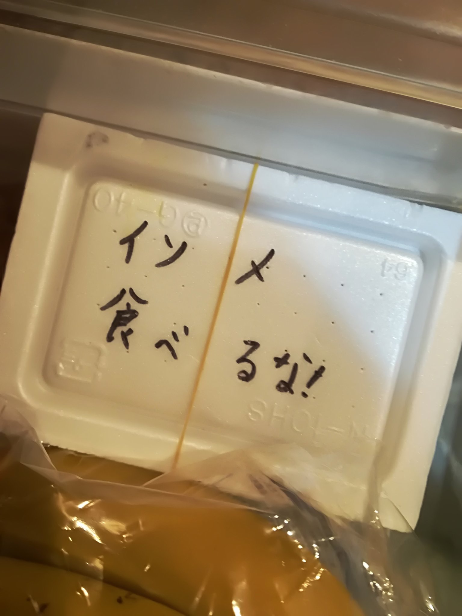 マルキf 釣りで余った青イソメ 飼育している魚の餌用に野菜室に保管 息子くん ナイスアシストだけど誰も食べないと思う 青イソメ 釣り 小2