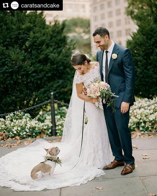TheHintRegistry's tweet photo. Four legged friend dressed for the occasion 🐶 via @caratsandcake .
.
.
#wedding #weddinginspo #weddinginspiration #fourleggedchild #fourleggedfriend #love #bride #groom #weddingprep #flowers #weddingflowers #registry #weddingregistry #thehintregistry… https://t.co/tQRIvOnqhg https://t.co/e5Dxkhzamr