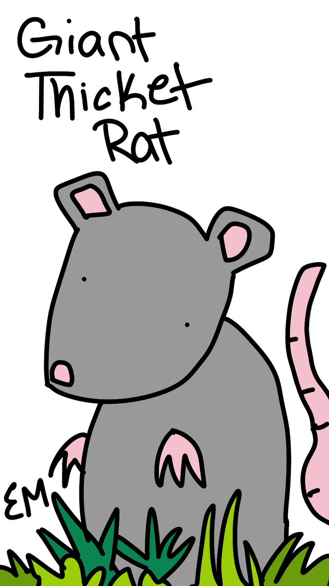 GIANT THICKET RAT (Apr 20-May 20)-loves nature-has like infinity house plants-talks to house plants-continues to collect house plants-probably using house plants to soothe some deep-seeded insecurity and/or psychological pain-but who cares? PLANTS https://en.wikipedia.org/wiki/Giant_thicket_rat