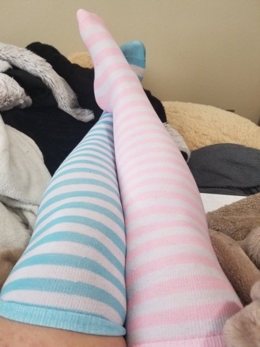 #Feetfettish #feetpicturesforsale #feetpic #feetnation #feetmaster https://t.co/vQ0yGnXrFP<a href="/tag/feetfettish"class="tags">#Feetfettish</a><a href="/tag/feetpicturesforsale"class="tags">#feetpicturesforsale</a><a href="/tag/feetpic"class="tags">#feetpic</a><a href="/tag/feetnation"class="tags">#feetnation</a><a href="/tag/feetmaster"class="tags"><span>#feetmaster</span></a>