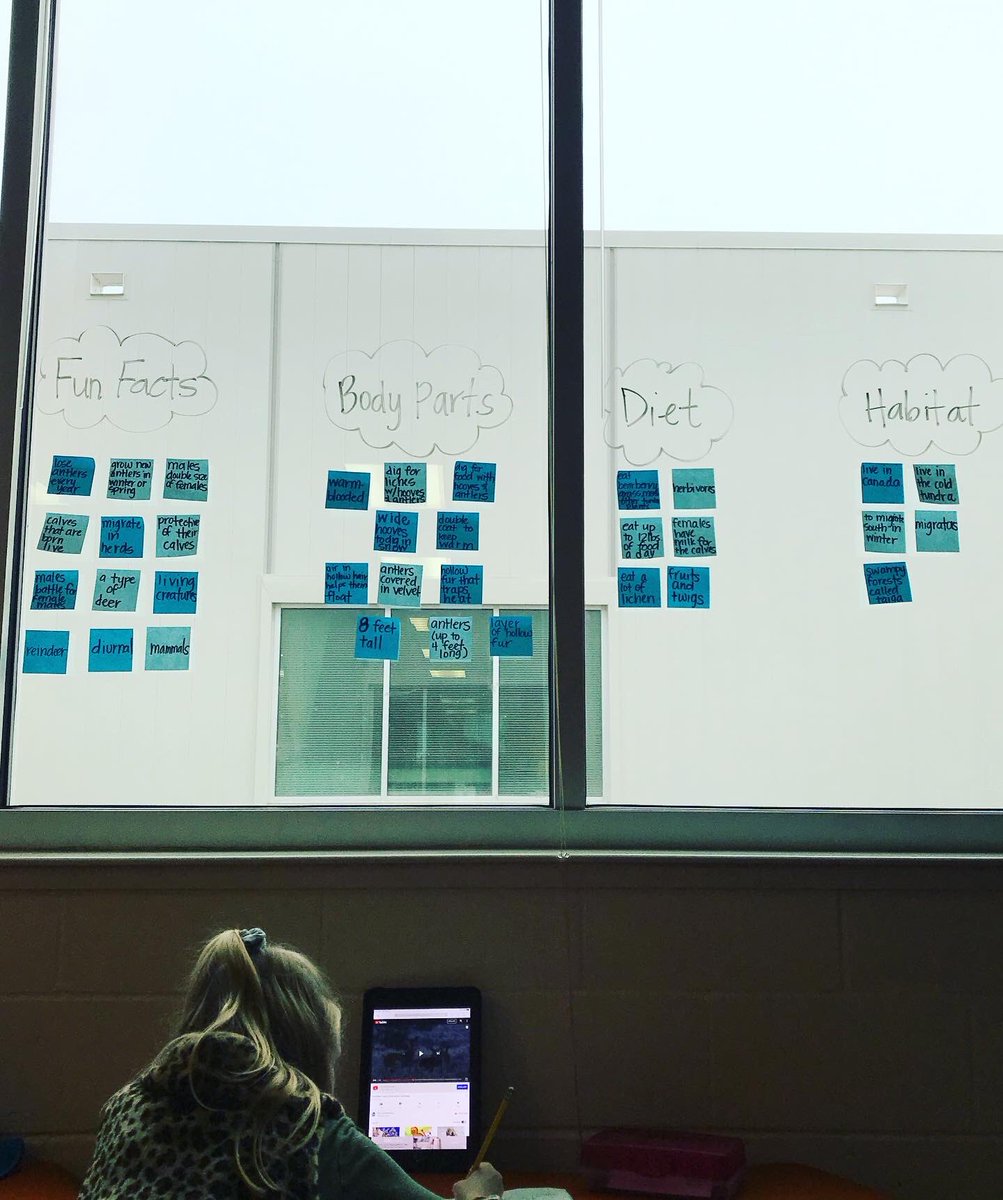 rebevans23's tweet photo. Polar animal research is underway! We started day 1 with gathering facts. Day we sorted facts into categories and they took notes with focus on these specific categories. #iamDSISD #sycamoreyr3 https://t.co/A360FhMLnS