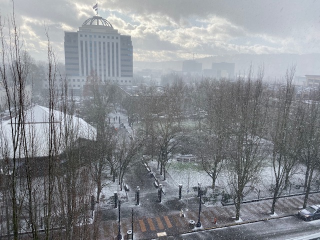 TempResidents's tweet image. It's snowing!! Such a beautiful sight while working indoors. Where can you get good Vin Chaud in Portland? 🤔🍷
#onlythestrongplantssurvive #snow #Portland #Oregon #wine  #TempResidents #temporaryresidentsblog