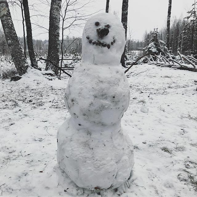 Lasten lumileikit osaksi Unescon maailmanperintöä ☃️ Allekirjoita vetoomus pelastetaantalvet.fi ! ❄️ PS. Haasta kaveritkin mukaan jos tykkäät lumesta ❄️ #pelastetaantalvet ift.tt/2NrOxsx