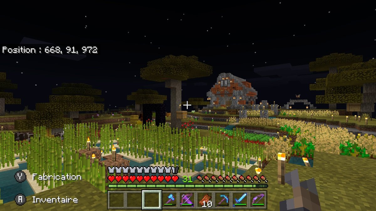 leptiteo's tweet photo. #Minecraft #NintendoSwitch https://t.co/d6PVEW1ei5