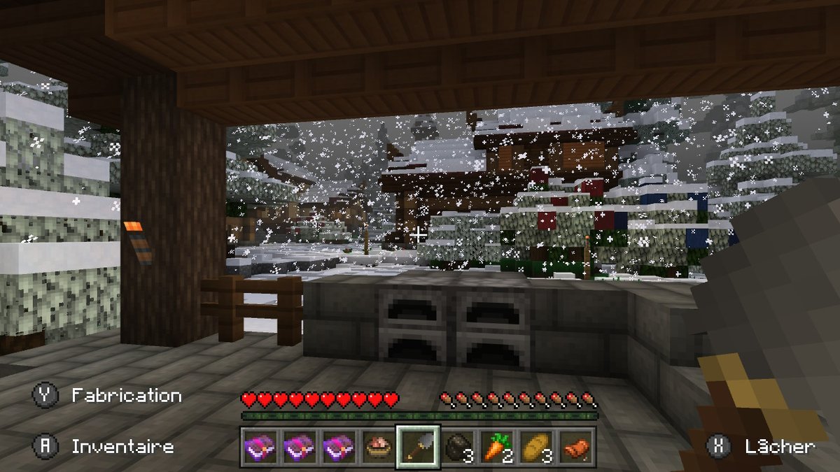 leptiteo's tweet photo. #Minecraft #NintendoSwitch https://t.co/d6PVEW1ei5