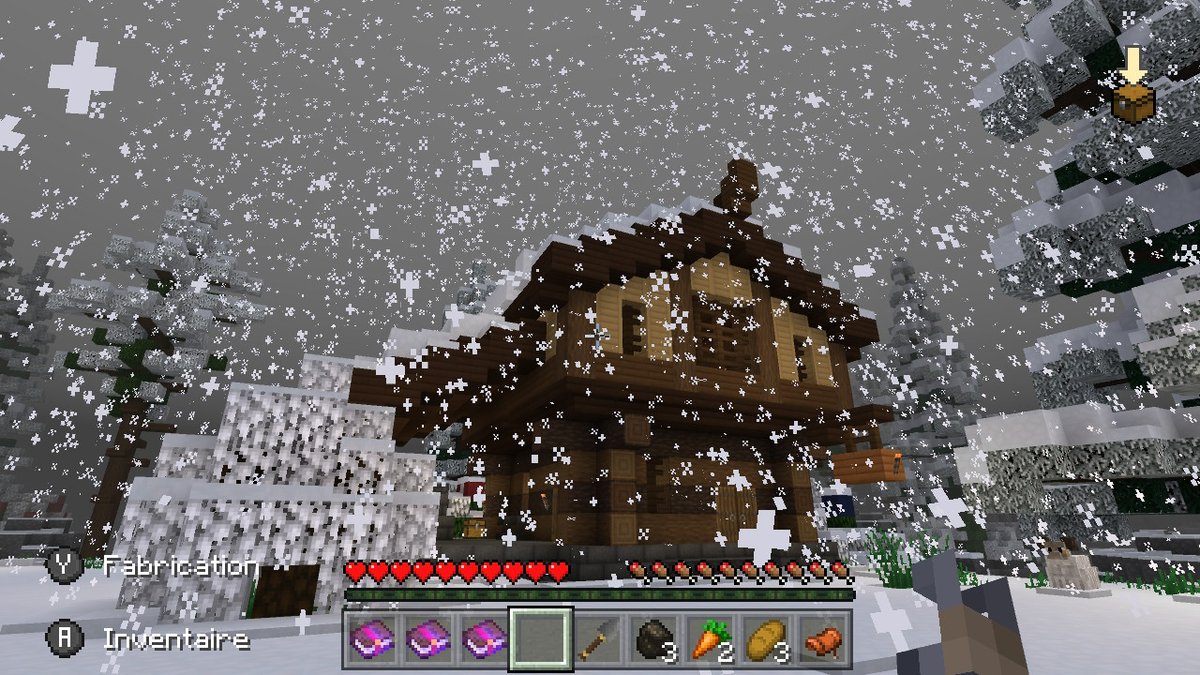 leptiteo's tweet photo. #Minecraft #NintendoSwitch https://t.co/d6PVEW1ei5
