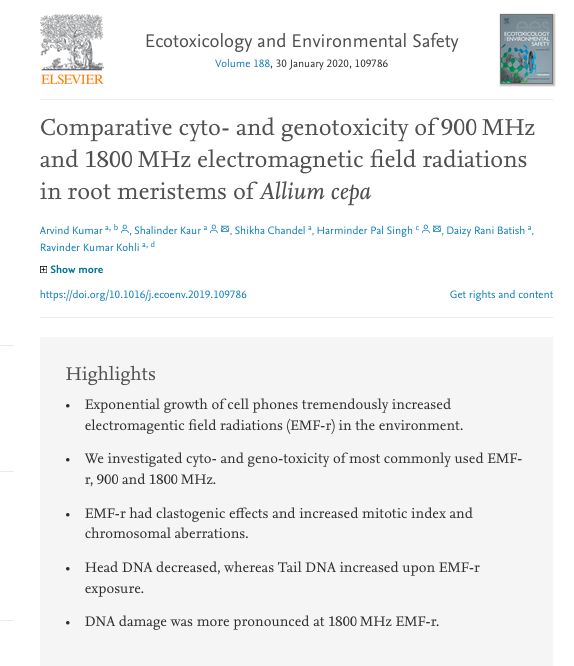 MicrowaveNews's tweet photo. And one more on #RF DNA breaks:
Here the exposure levels are ‼️~10x lower‼️ lower than @FCC and ICNIRP exposure limits for cell phones. That is, ~0.1 W/Kg.
More DNA damage seen at 1.8 GHz than at 900 MHz.
From India.
Allium cepa = onion
#5G #DNABreaks
https://t.co/LHfMqYVQTt https://t.co/gi4In42aZE