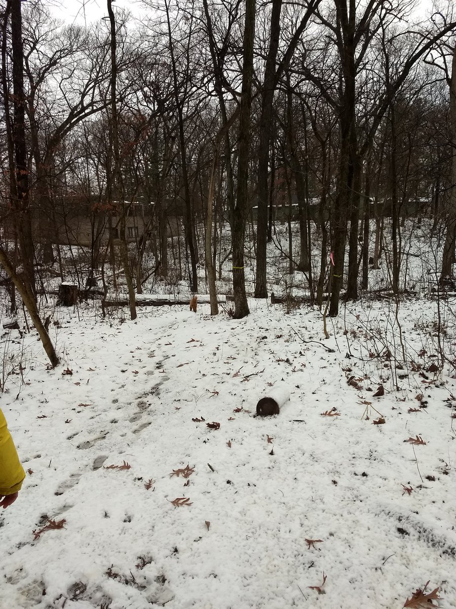 WJHSOE's tweet photo. Can you spot one of our special guests? (Hint: living her best doggie life) https://t.co/VK9E784c0o
