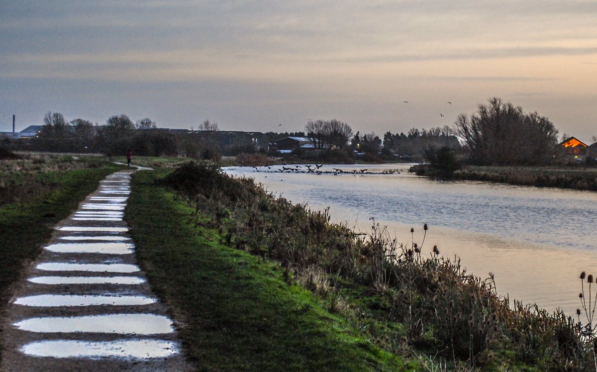 VeronicaJoPo's tweet image. That jumping over puddles morning walk 😆 by Ely riverside. #morningwalk #puddlejumping #riverside #flyinggeese #wildlife #nature #naturefirst2020 #placesmatter #loveukweather #picoftheday