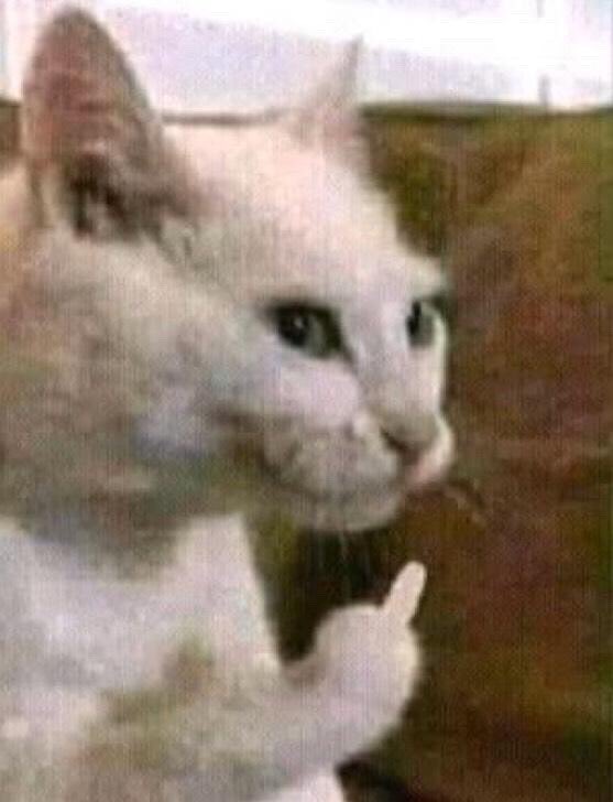 Je sais que c’est pas drôle mes blagues mais faites genre au moins