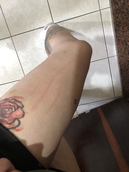 meu cachorro me ama dmsss pqp https://t.co/QHPe6cMdB4