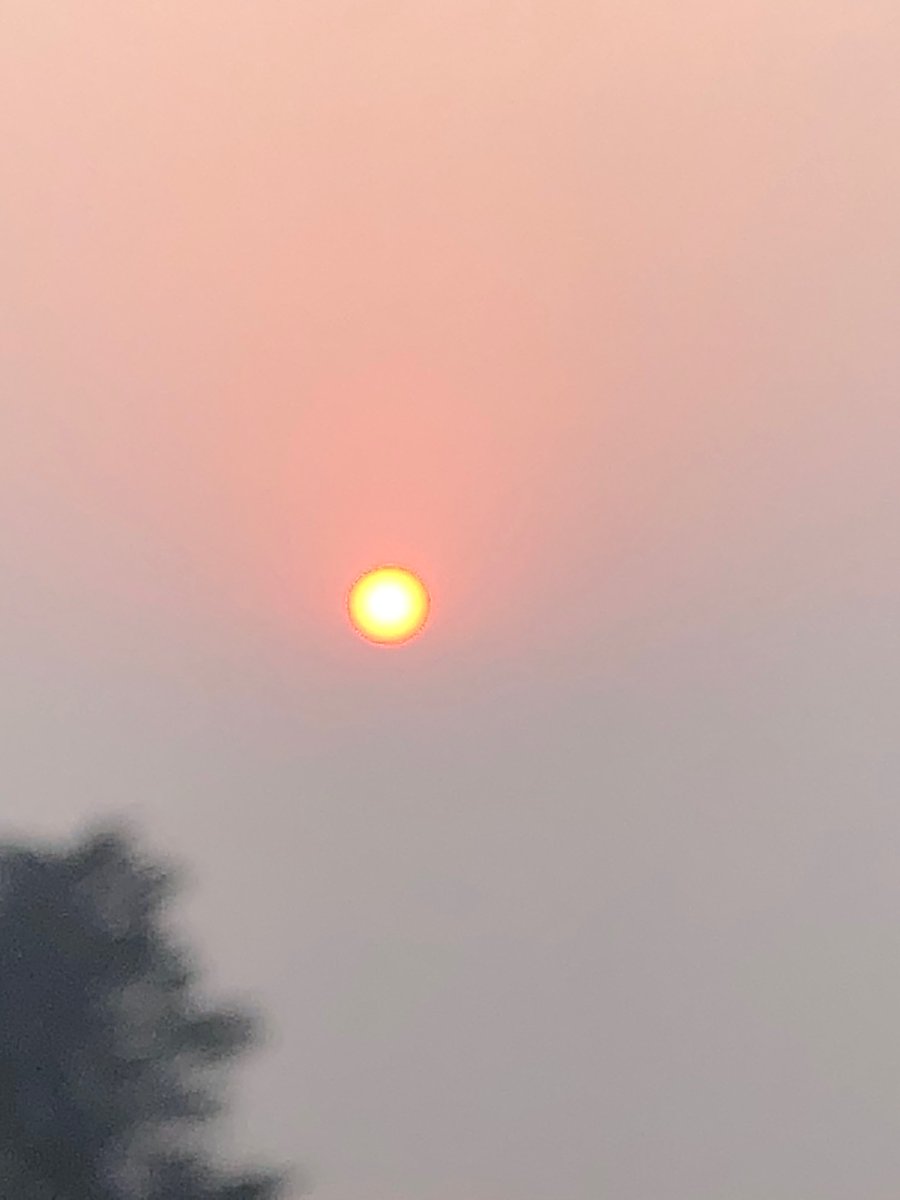 KarenDwyer12's tweet photo. #AustraliaFires #AustraliaBurns haze, smoke in #Geelong. Sun reflecting the state of the nation. 😢 #ClimateCrisis #ClimateEmergency #needactionnow https://t.co/3Fhhd1tFfE