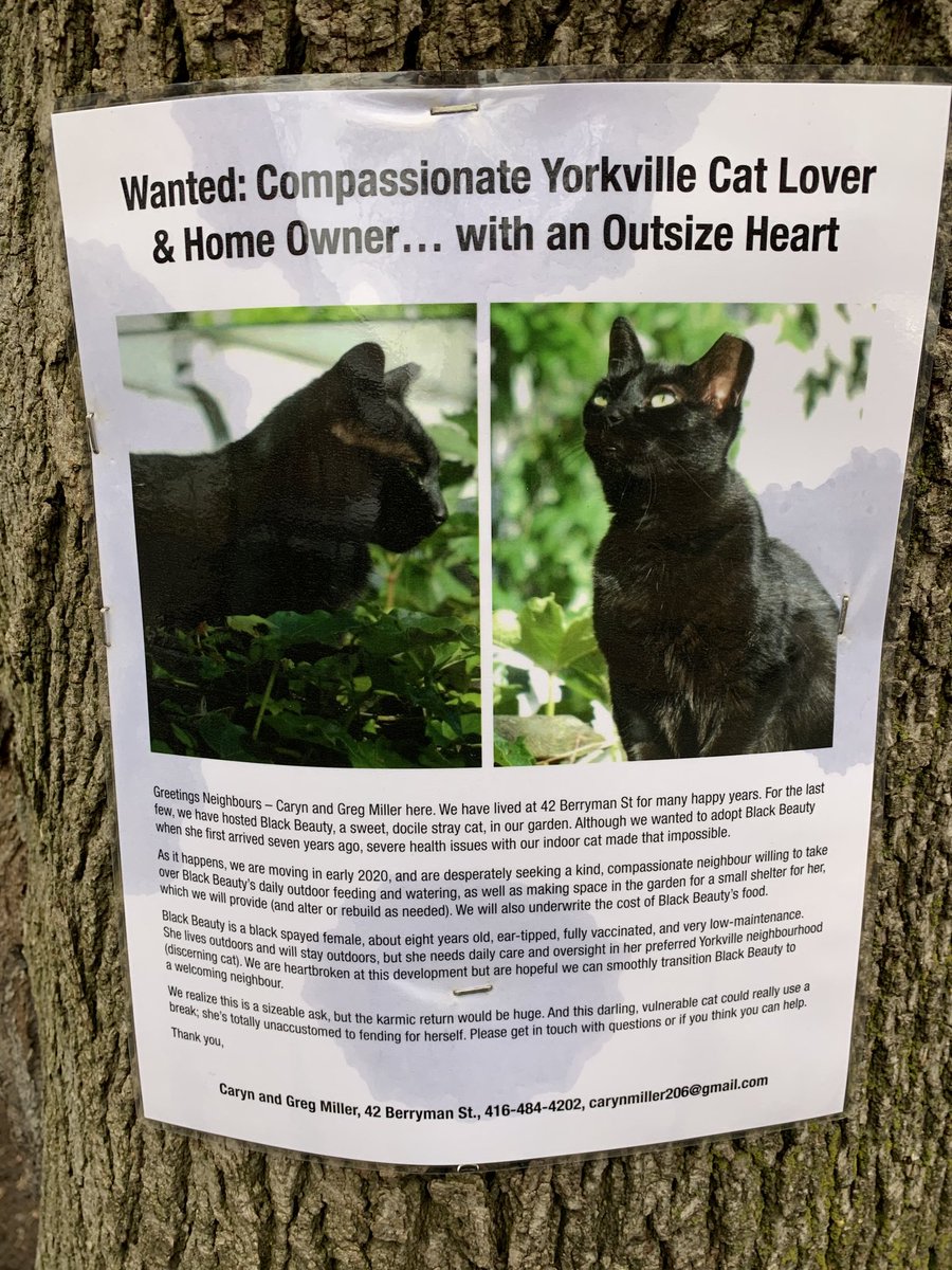 kinsellawarren's tweet photo. Nice folks. Can any of you help them out? https://t.co/HhEsLXj538
