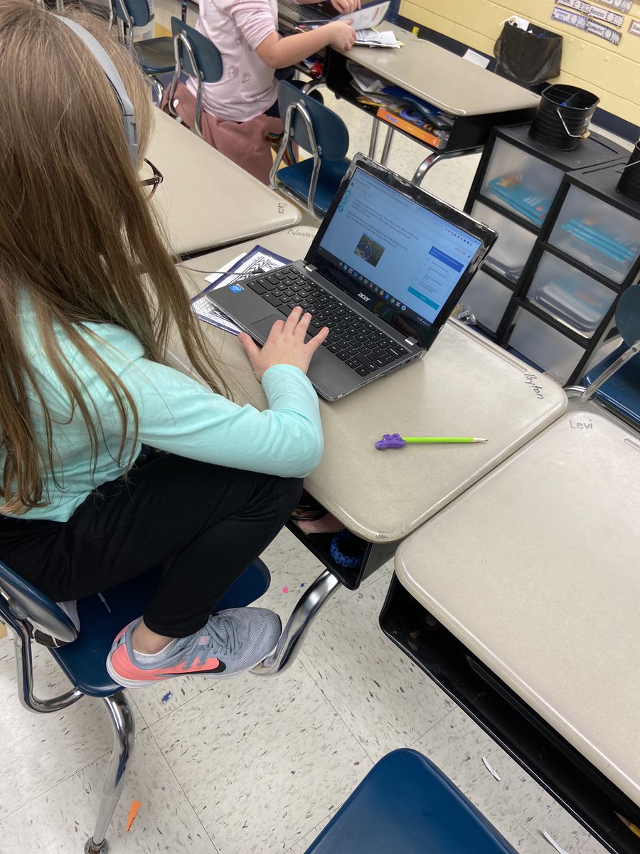 Mrs_S_Newman's tweet photo. How are you choosing to test your knowledge of main topic and key details? In #RESNRoom202 we are listening to stories, reading on our own, making posters, and taking quizzes. @RinggoldNorth https://t.co/NoZsfwVPIT