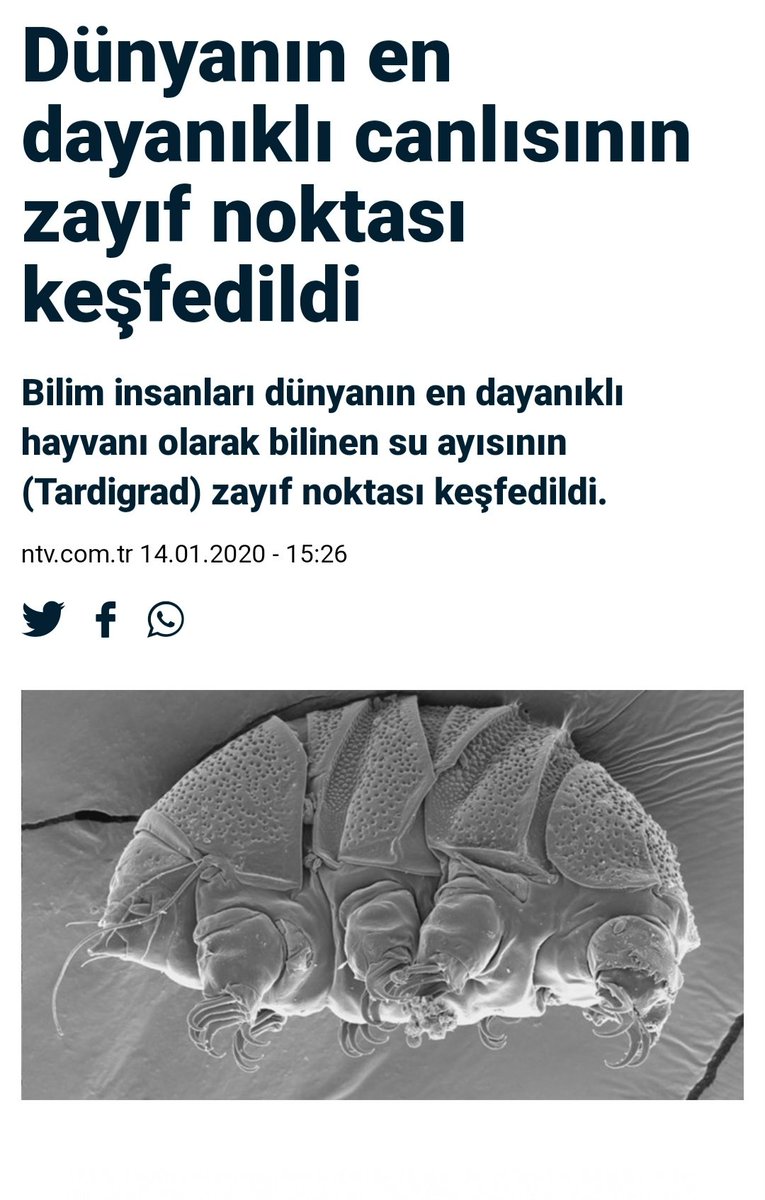 Duyguları mı?
