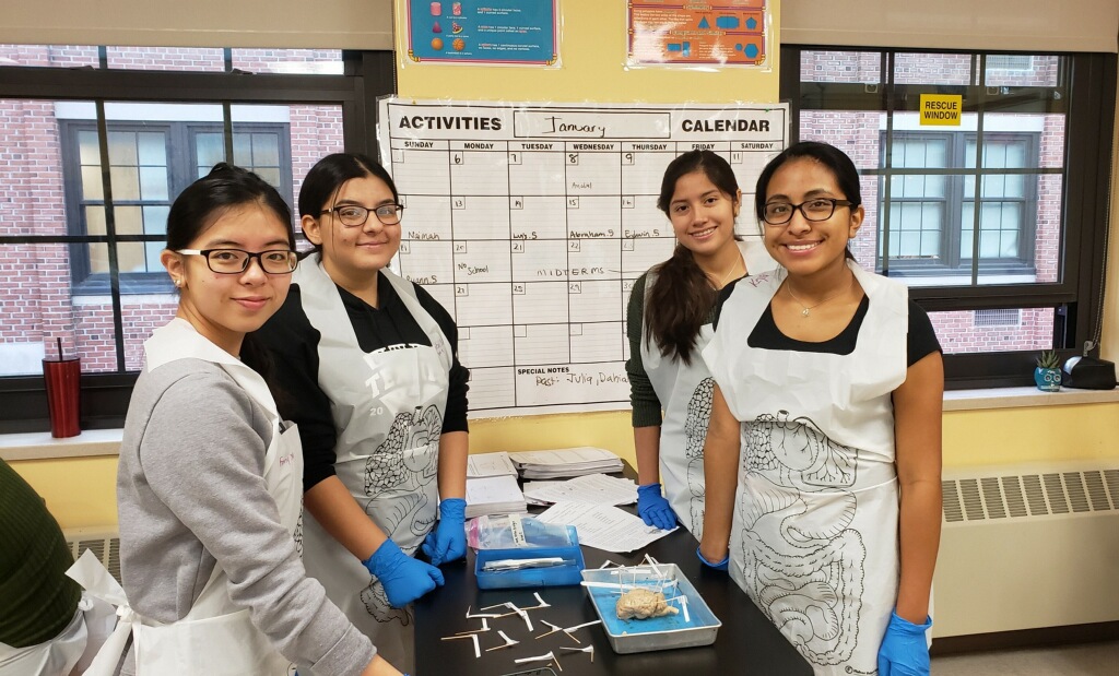 OSSININGscience's tweet photo. Today, Mrs. Estrada's Anatomy &amp; Physiology class had the wonderful opportunity to have a hands on experience  dissecting a sheep brain.  They identified the anatomical structures of the brain while comparing and contrasting it with a human brain. @OssiningSchools @OHSPrincipal3 https://t.co/uVJA2Qm4WS