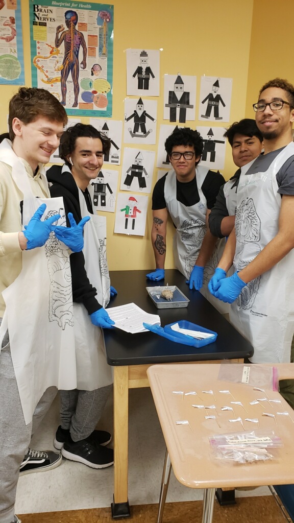 OSSININGscience's tweet photo. Today, Mrs. Estrada's Anatomy &amp; Physiology class had the wonderful opportunity to have a hands on experience  dissecting a sheep brain.  They identified the anatomical structures of the brain while comparing and contrasting it with a human brain. @OssiningSchools @OHSPrincipal3 https://t.co/uVJA2Qm4WS