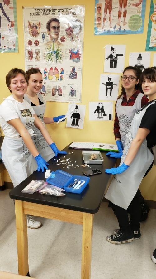OSSININGscience's tweet photo. Today, Mrs. Estrada's Anatomy &amp; Physiology class had the wonderful opportunity to have a hands on experience  dissecting a sheep brain.  They identified the anatomical structures of the brain while comparing and contrasting it with a human brain. @OssiningSchools @OHSPrincipal3 https://t.co/uVJA2Qm4WS