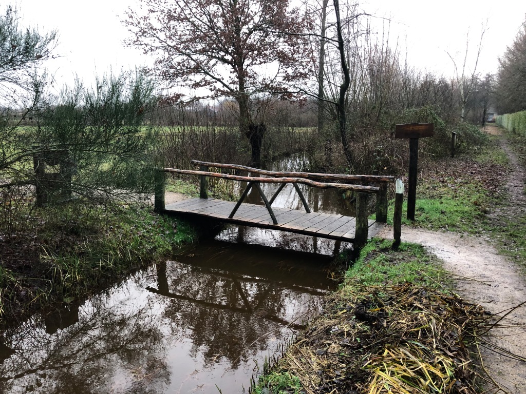 groot_ernest's tweet photo. Veldbezoek @aaenmaas @gemeente_boekel @gemGemertBakel #LandmeerseLoop #grensloop #Aa zeer informatief. Forse hoogte-verschillen #landschap @waterschappen @WaterNatuurlijk @WNAaenMaas @DeBiezen_76 @Brabant @KlimaatBrabant @GemertsNieuwsbl @PeterKetelaars1 https://t.co/rR5Wfyacpa