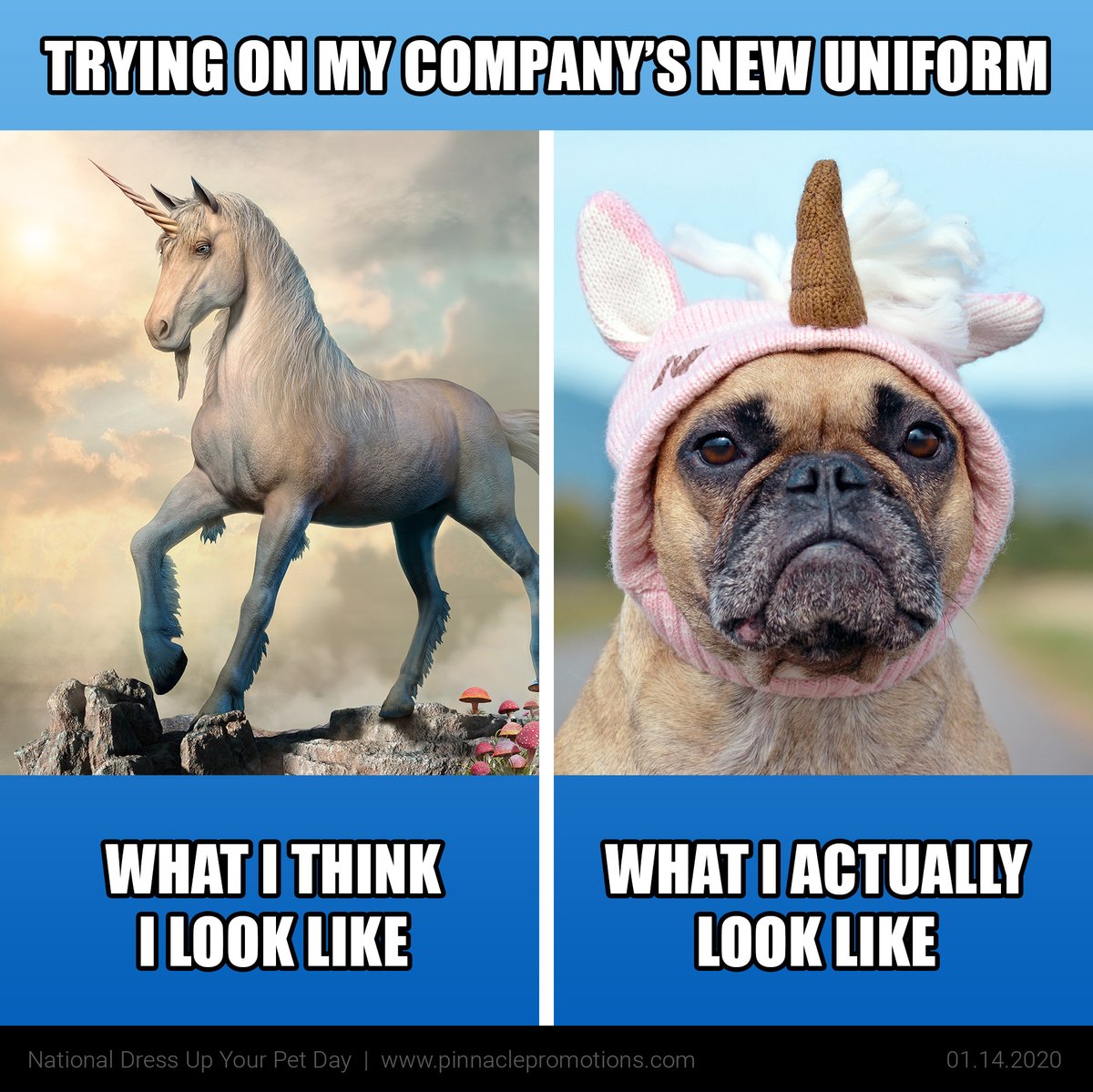 Who can relate? #DressUpYourPetDay #promotionalproducts