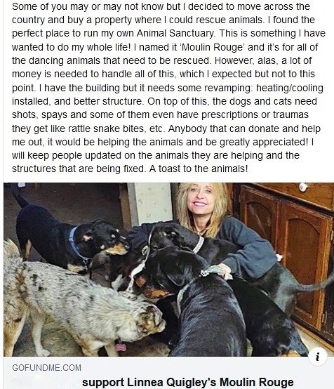 LinneaQuigley's tweet photo. https://t.co/OHx6mbt63a https://t.co/KwljzaKOC5