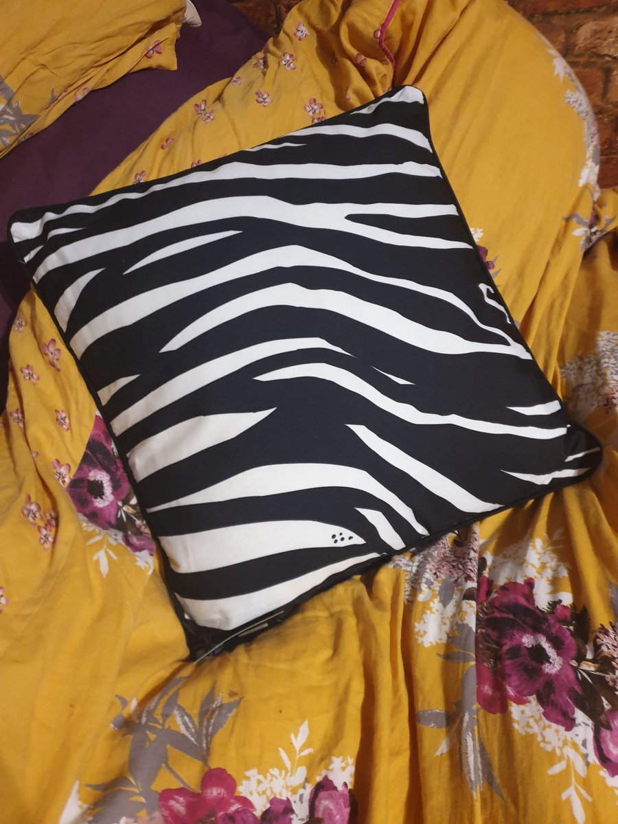 bettyflorence23's tweet photo. And the other side, which I had no idea about until I bought it, is zebra print which is perfect for the Ehlers Danlos zebra that dazzles inside of me #EDSzebra #lovethyzebra #zebraprint #EhlersDanlosSyndrome #EhlersDanlos #cushion #homeware #zebracushion https://t.co/MPDwKloIvQ