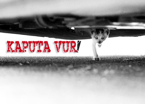 'Kontağı çevirmeden önce kaputa vur'
Soğuk havalarda aracınızı çalıştırmadan önce lütfen kaputa vurun, minik dostlarımız soğuktan korunmak için aracınızın motoruna girmiş olabilir"